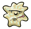 Typy alergických reakcí